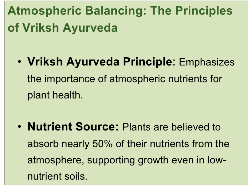 How to Create Your Own Nakshatra-Inspired Oasis