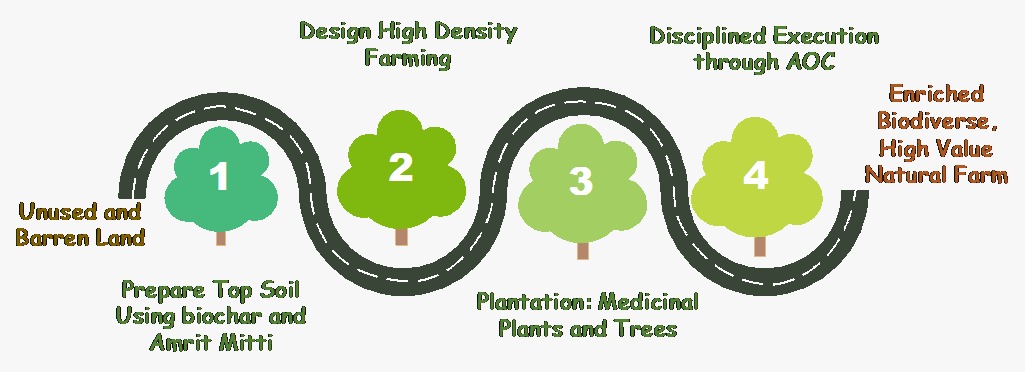 Gratitude Farms development roadmap: barren land to biodiverse farm