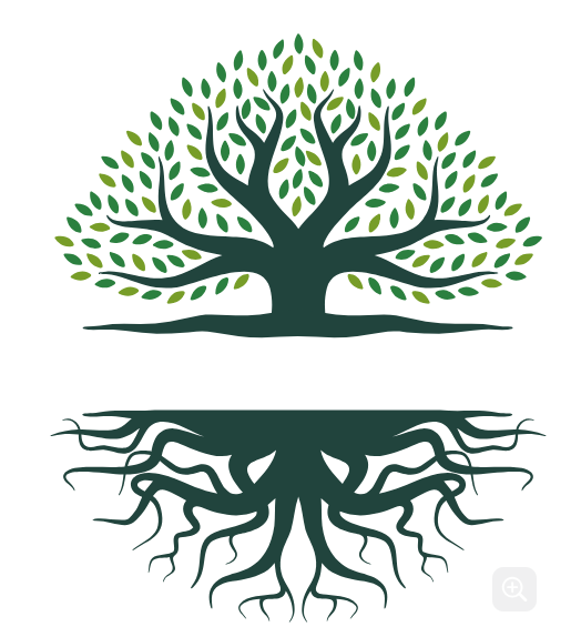 Tree and roots illustration representing Vriksh Ayurveda