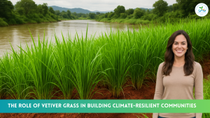 The Role of Vetiver Grass in Building Climate-Resilient Communities